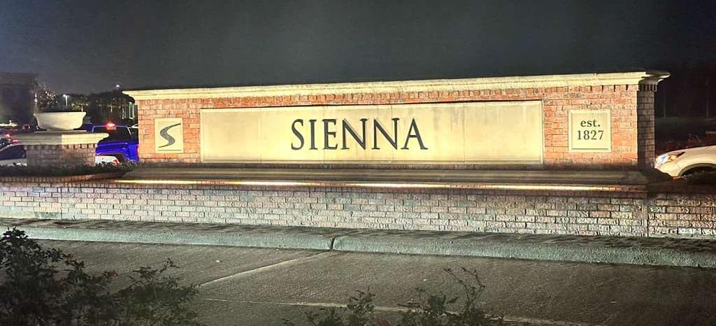 Professional Photography in Sienna